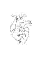 Heart Anatomy Line Art | Crea tu propio cartel