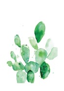 Cactus Watercolor Art | Crea tu propio cartel