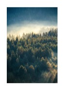 Misty Forest | Crea tu propio cartel