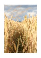 Wheat Field | Crea tu propio cartel