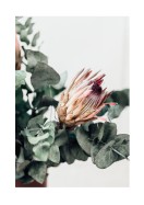 Pretty Dried Pink Flower | Crea tu propio cartel