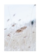 Reeds In Winter | Crea tu propio cartel