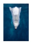 Swimming Polar Bear | Crea tu propio cartel