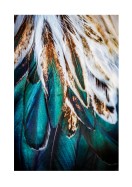 Colorful Feathers | Crea tu propio cartel