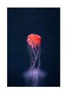 Vibrant Jellyfish In The Ocean | Crea tu propio cartel