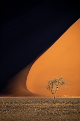 Sand Dunes In Namibia