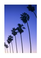 Palm Trees At Sunset In California | Crea tu propio cartel