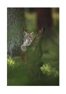 Wild Lynx In Nature | Crea tu propio cartel