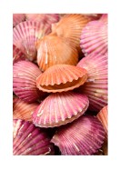 Pink Sea Shells | Crea tu propio cartel
