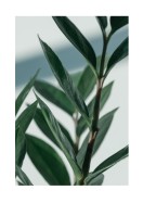 Green Plant Close-up | Crea tu propio cartel