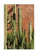 Cactus Plant In The Sun | Crea tu propio cartel