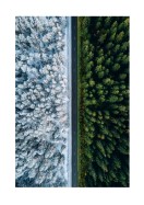 A Forest In Summer And Winter | Crea tu propio cartel