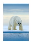 Polar Bear In The Wild | Crea tu propio cartel