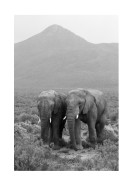 Two Elephants In Black And White | Crea tu propio cartel